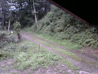 長野県菅平高原 ゆたか山荘 東側(坂下) 2025/08/25 18:00