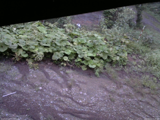 長野県菅平高原 ゆたか山荘 駐車場 2025/08/25 05:15