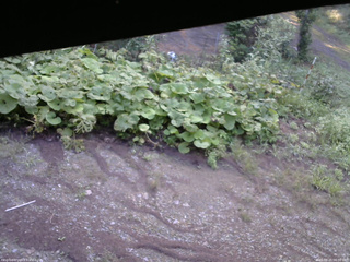 長野県菅平高原 ゆたか山荘 駐車場 2025/08/25 06:00