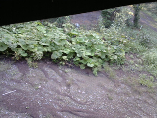 長野県菅平高原 ゆたか山荘 駐車場 2025/08/25 06:15