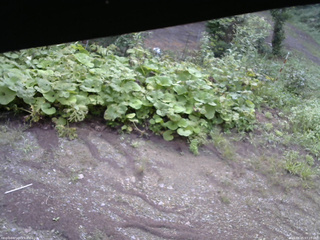 長野県菅平高原 ゆたか山荘 駐車場 2025/08/25 07:15