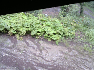 長野県菅平高原 ゆたか山荘 駐車場 2025/08/25 07:45