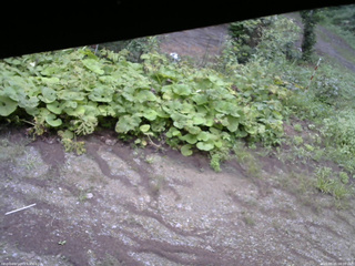 長野県菅平高原 ゆたか山荘 駐車場 2025/08/25 08:00