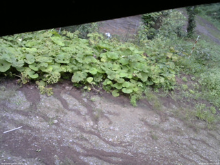 長野県菅平高原 ゆたか山荘 駐車場 2025/08/25 08:15