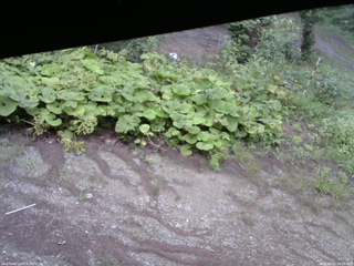 長野県菅平高原 ゆたか山荘 駐車場 2025/08/25 08:30