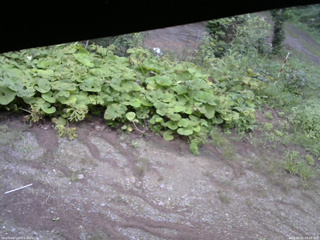 長野県菅平高原 ゆたか山荘 駐車場 2025/08/25 08:45