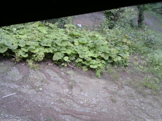 長野県菅平高原 ゆたか山荘 駐車場 2025/08/25 09:00