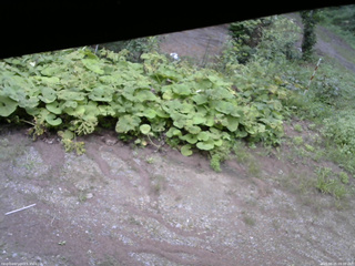 長野県菅平高原 ゆたか山荘 駐車場 2025/08/25 09:30
