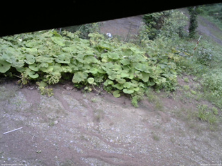 長野県菅平高原 ゆたか山荘 駐車場 2025/08/25 09:45