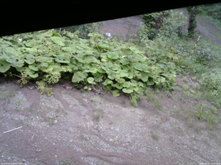 長野県菅平高原 ゆたか山荘 駐車場 2025/08/25 10:30