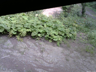 長野県菅平高原 ゆたか山荘 駐車場 2025/08/25 13:00