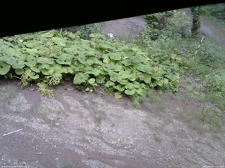 長野県菅平高原 ゆたか山荘 駐車場 2025/08/25 14:15