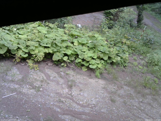 長野県菅平高原 ゆたか山荘 駐車場 2025/08/25 14:30