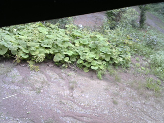 長野県菅平高原 ゆたか山荘 駐車場 2025/08/25 15:00
