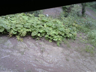 長野県菅平高原 ゆたか山荘 駐車場 2025/08/25 15:15