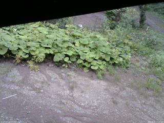 長野県菅平高原 ゆたか山荘 駐車場 2025/08/25 15:30