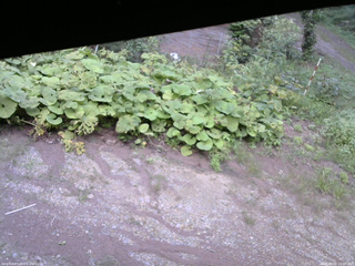 長野県菅平高原 ゆたか山荘 駐車場 2025/08/25 16:00