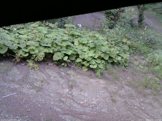 長野県菅平高原 ゆたか山荘 駐車場 2025/08/25 16:30