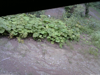 長野県菅平高原 ゆたか山荘 駐車場 2025/08/25 16:45
