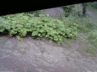 長野県菅平高原 ゆたか山荘 駐車場 2025/08/25 17:00