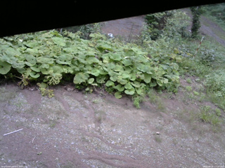 長野県菅平高原 ゆたか山荘 駐車場 2025/08/25 17:15