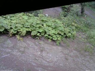 長野県菅平高原 ゆたか山荘 駐車場 2025/08/25 17:30