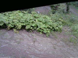 長野県菅平高原 ゆたか山荘 駐車場 2025/08/25 18:00