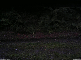 長野県菅平高原 ゆたか山荘 南側 2025/08/26 05:00