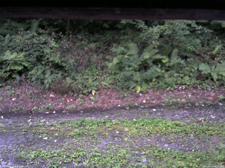 長野県菅平高原 ゆたか山荘 南側 2025/08/26 05:15