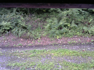 長野県菅平高原 ゆたか山荘 南側 2025/08/26 05:45