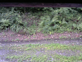 長野県菅平高原 ゆたか山荘 南側 2025/08/26 06:00