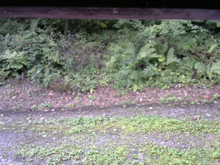 長野県菅平高原 ゆたか山荘 南側 2025/08/26 06:45