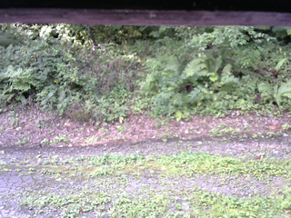 長野県菅平高原 ゆたか山荘 南側 2025/08/26 07:00