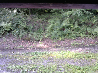 長野県菅平高原 ゆたか山荘 南側 2025/08/26 07:15