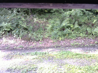 長野県菅平高原 ゆたか山荘 南側 2025/08/26 07:30