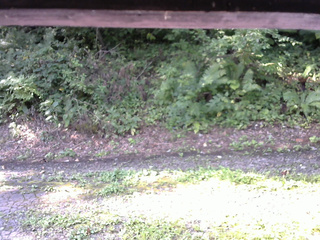 長野県菅平高原 ゆたか山荘 南側 2025/08/26 07:45