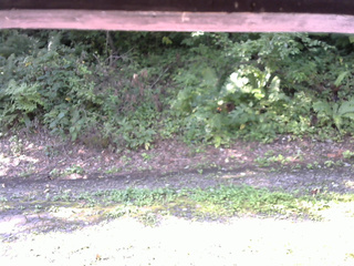 長野県菅平高原 ゆたか山荘 南側 2025/08/26 08:00