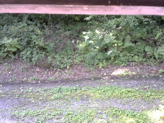 長野県菅平高原 ゆたか山荘 南側 2025/08/26 09:00