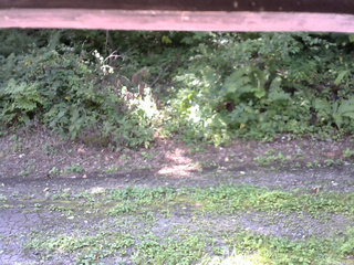 長野県菅平高原 ゆたか山荘 南側 2025/08/26 09:15