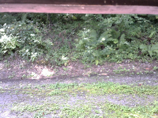 長野県菅平高原 ゆたか山荘 南側 2025/08/26 09:45