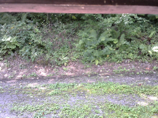 長野県菅平高原 ゆたか山荘 南側 2025/08/26 10:00