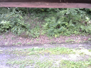 長野県菅平高原 ゆたか山荘 南側 2025/08/26 10:15