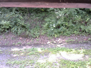 長野県菅平高原 ゆたか山荘 南側 2025/08/26 10:30