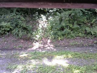 長野県菅平高原 ゆたか山荘 南側 2025/08/26 10:45