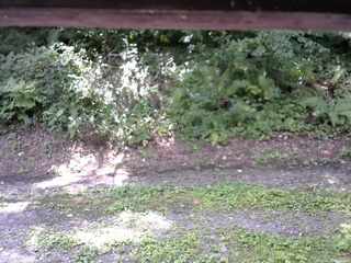 長野県菅平高原 ゆたか山荘 南側 2025/08/26 11:00