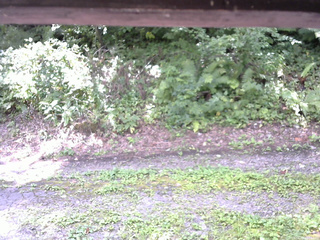 長野県菅平高原 ゆたか山荘 南側 2025/08/26 11:15