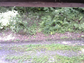 長野県菅平高原 ゆたか山荘 南側 2025/08/26 11:30