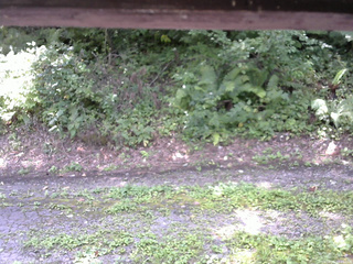 長野県菅平高原 ゆたか山荘 南側 2025/08/26 11:45