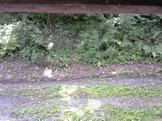 長野県菅平高原 ゆたか山荘 南側 2025/08/26 12:00