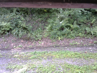 長野県菅平高原 ゆたか山荘 南側 2025/08/26 12:15